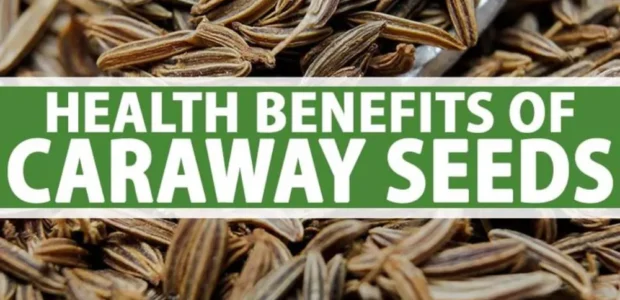 Caraway Coupon Code