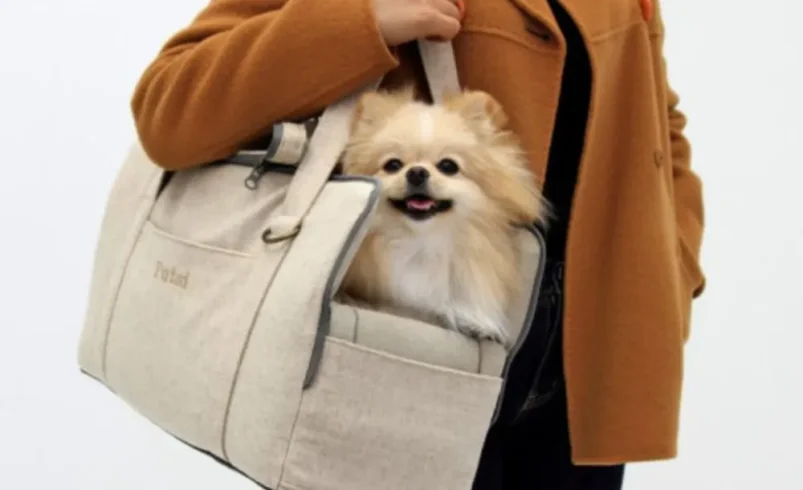 The Ultimate Guide to Dog Bags: Everything Pet Owners Need to Know
