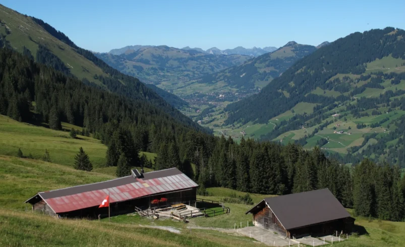 Bernese Oberland Gstaad