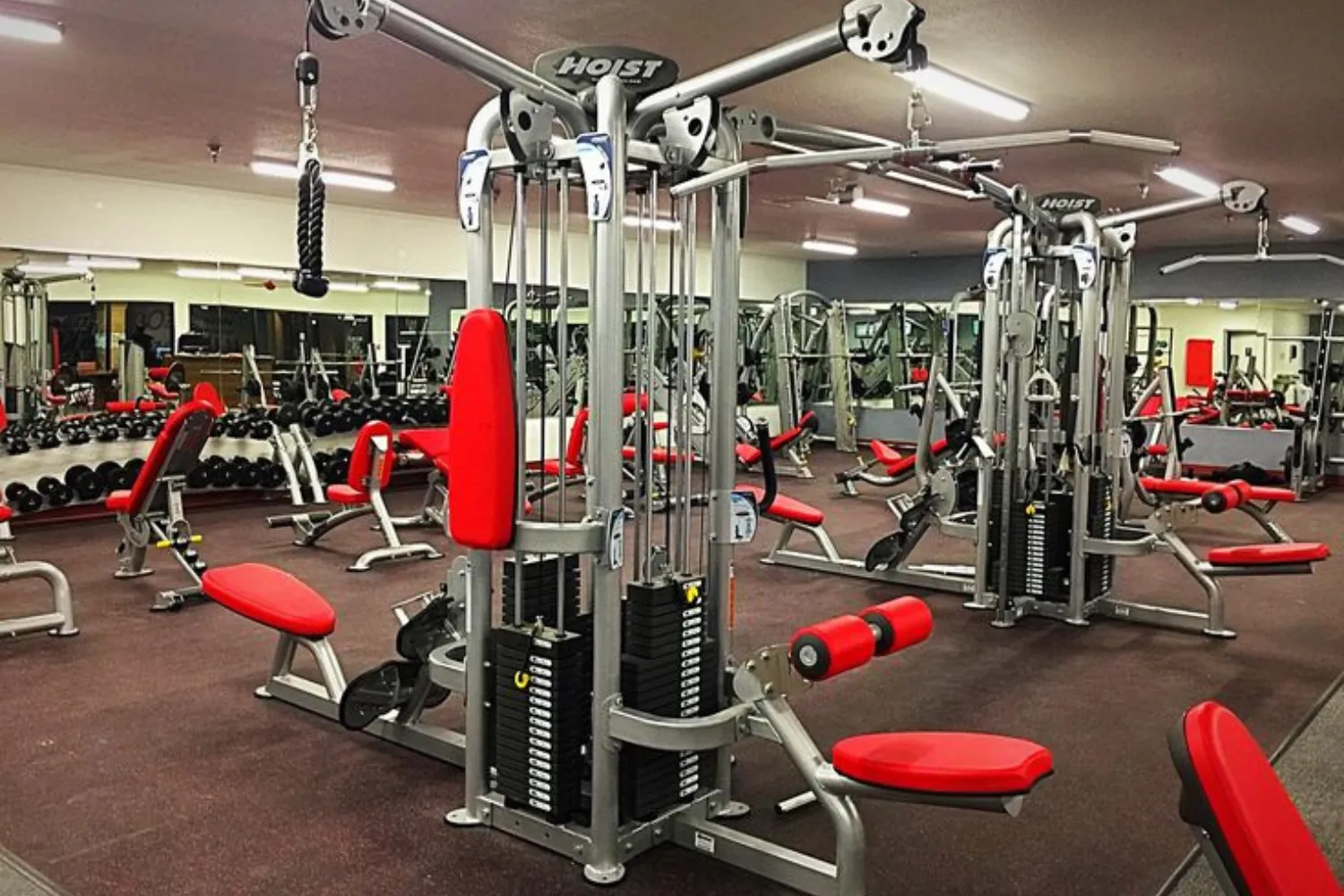 Major Fitness Coupon Codes Stores Don’t Want You To See